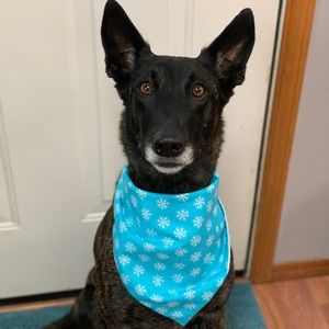 Handmade | Reversible Dog Bandana